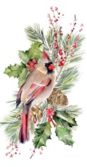 Cardinal Holly Christmas Collection B