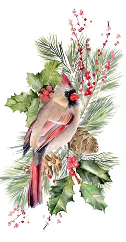 Cardinal Holly Christmas Collection B