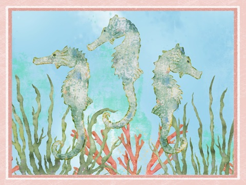 Coastal Life Collection A