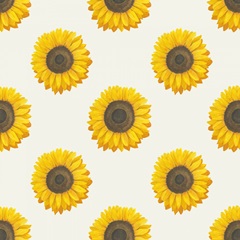 Colorful Cornucopia F