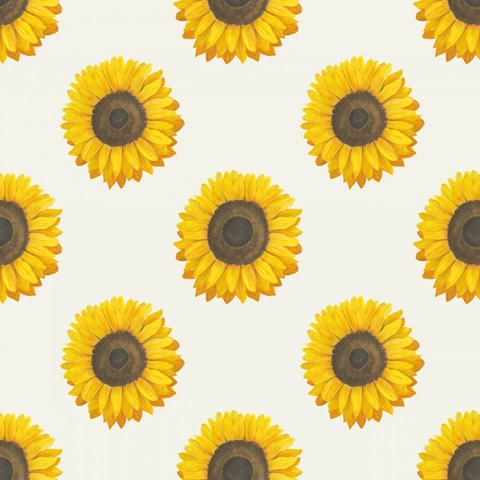 Colorful Cornucopia F