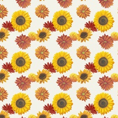 Colorful Cornucopia G