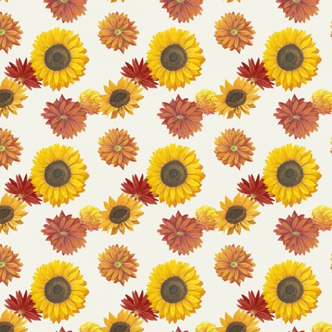 Colorful Cornucopia G