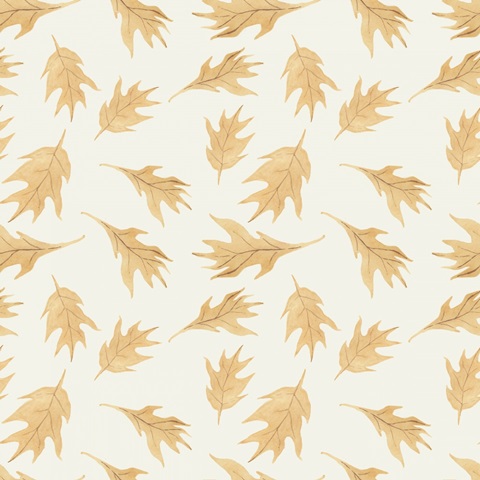 Colorful Cornucopia H