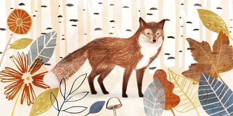 Cozy Autumn Collection D