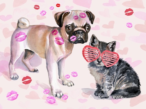 Cute Couture Collection A