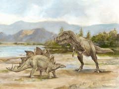 Dinosaur Illustration Collection A