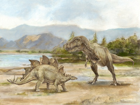 Dinosaur Illustration Collection A