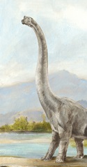Dinosaur Illustration Collection B