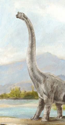 Dinosaur Illustration Collection B