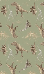 Dinosaur Illustration Collection E