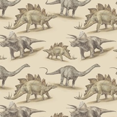Dinosaur Illustration Collection H