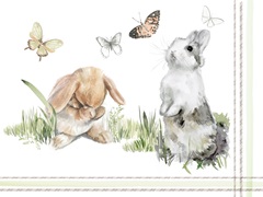 English Bunnies Collection A