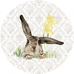 English Bunnies Collection C