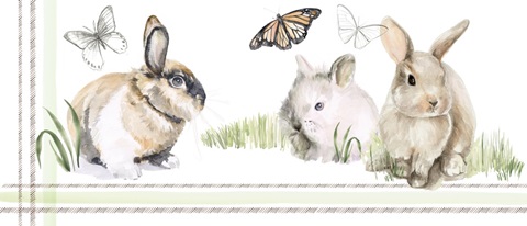 English Bunnies Collection D