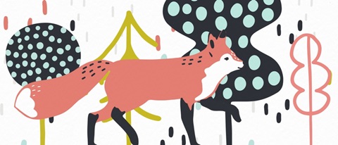 Fox Forest Collection D