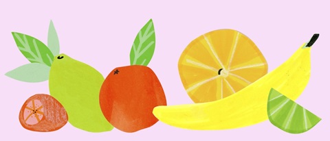 Fruitful Garden Collection D