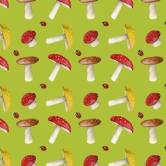 Gnome Neighbors Collection G