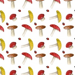 Gnome Neighbors Collection H