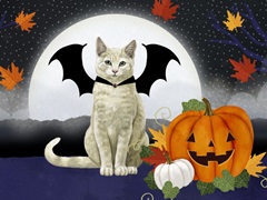 Halloween Pets Collection A