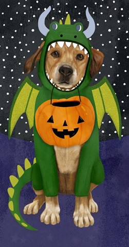 Halloween Pets Collection B