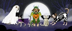 Halloween Pets Collection D