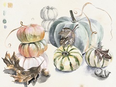 Harvest Pumpkins Collection A