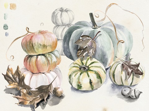 Harvest Pumpkins Collection A