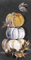 Harvest Pumpkins Collection B