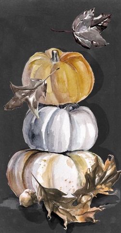 Harvest Pumpkins Collection B