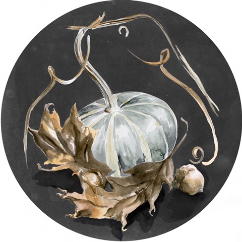 Harvest Pumpkins Collection C