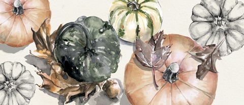 Harvest Pumpkins Collection D