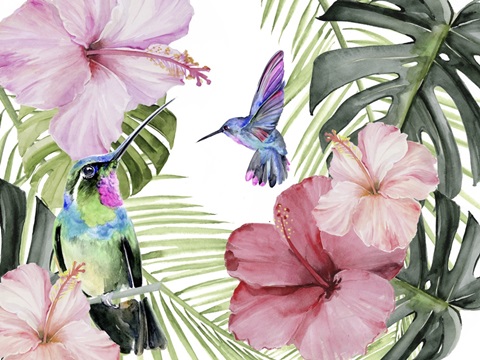 Hibiscus and Hummingbird Collection A