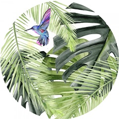 Hibiscus and Hummingbird Collection C