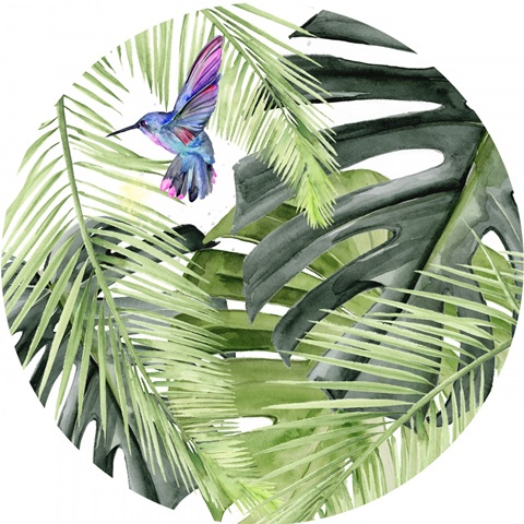 Hibiscus and Hummingbird Collection C