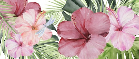 Hibiscus and Hummingbird Collection D