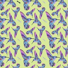 Hibiscus and Hummingbird Collection H