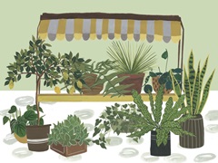 Hit the Road Collection A