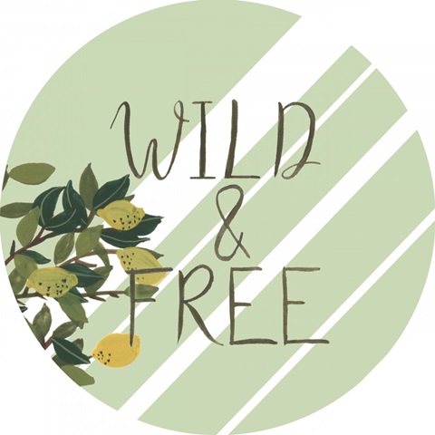 Hit the Road Collection C