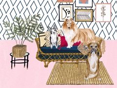 Home Alone Collection A