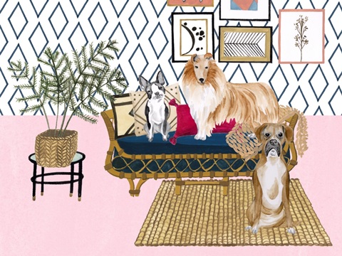 Home Alone Collection A