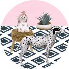 Home Alone Collection C