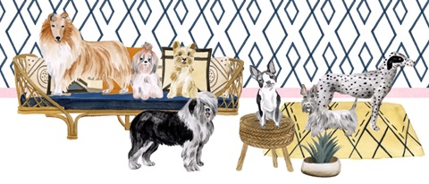 Home Alone Collection D