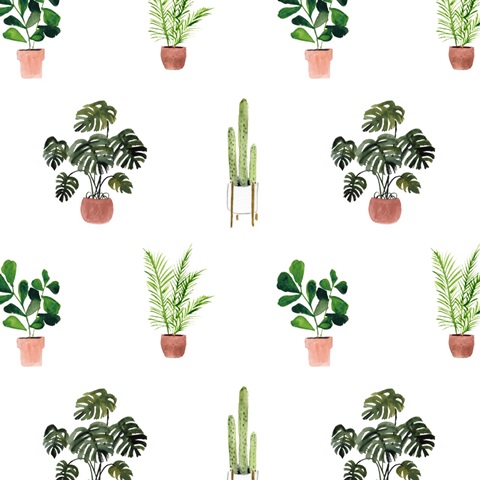 Homebody Collection F