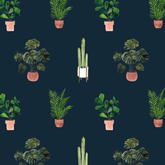 Homebody Collection G