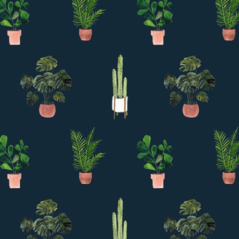 Homebody Collection G