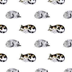 Homebody Collection H