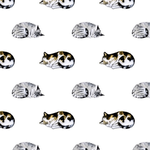 Homebody Collection H