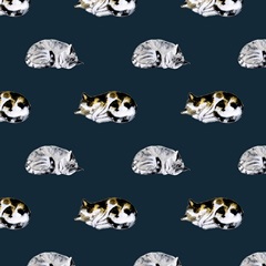 Homebody Collection I