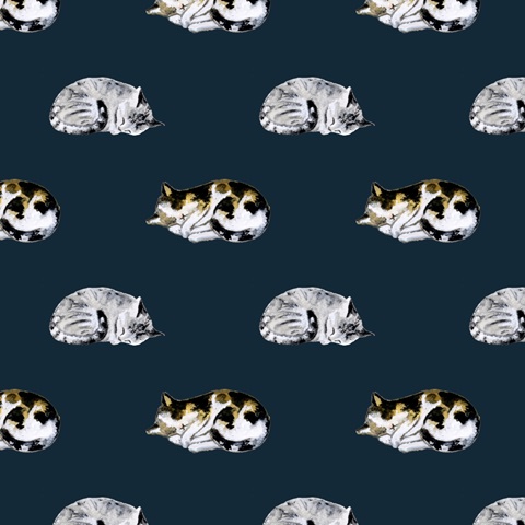 Homebody Collection I